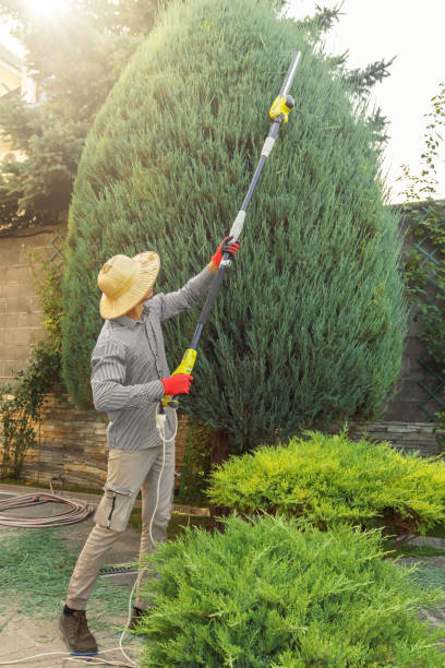 Best Lawn Pest Prevention  in Caldwell, NJ