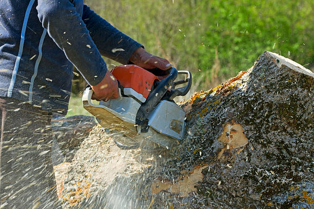 Best Soil Testing and Treatment  in Caldwell, NJ